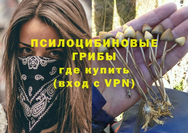 спиды Нефтегорск