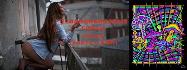 первитин Новозыбков