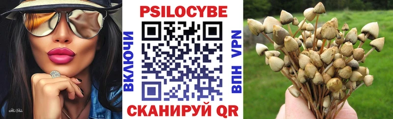 Галлюциногенные грибы Magic Shrooms Княгинино